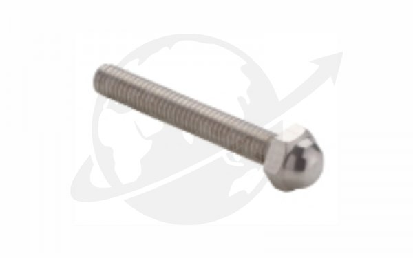 Dome Bolt